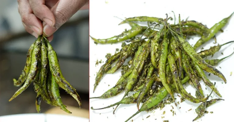 Spicy Pudina Mirch Recipe